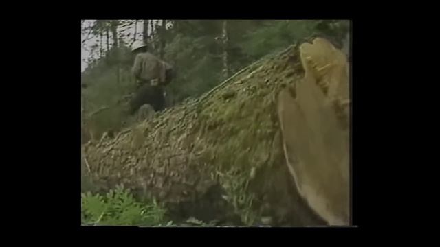 Old Logging Chainsaws смотреть онлайн