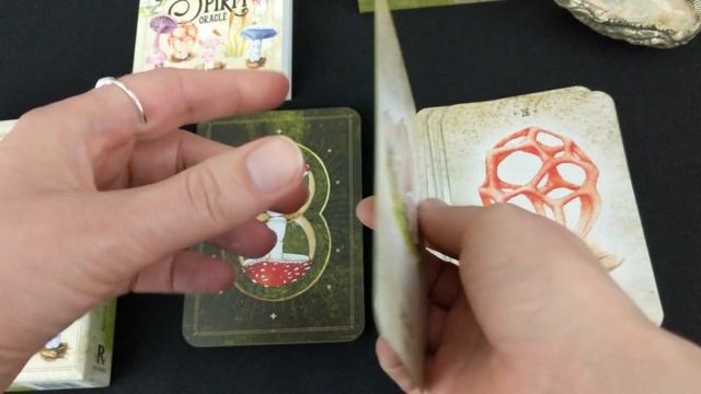Mushroom Spirit Oracle Review смотреть онлайн