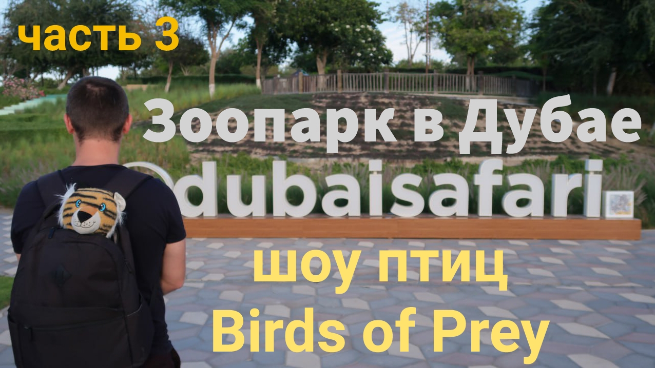 Зоопарк в Дубае. Dubai Safari Park. Часть 3. Шоу птиц. Birds of prey смотреть онлайн