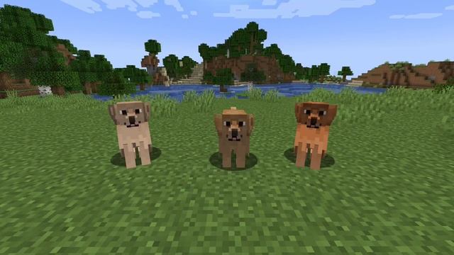 Minecraft New Dogs!! (Better Dogs Resource Pack 1.20+) смотреть онлайн