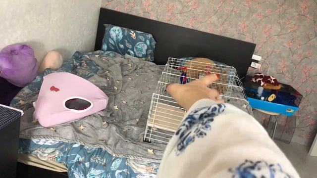 Уборка у крыс ? смотреть онлайн