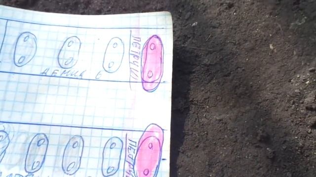 ТОМАТ ПЕТРУША ОГОРОДНИК - КАК ФОРМИРОВАТЬ В ТЕПЛИЦЕ? Ольга Чернова. смотреть онлайн