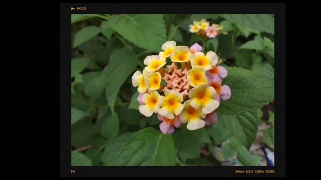 POCO F5 CAMERA TEST⚡64MP (OIS)