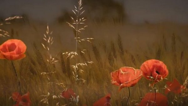 Lucinda Barry - Master of the Game