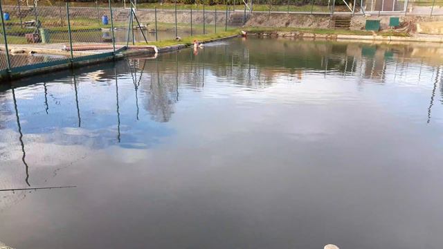 рыбалка#форель#forellenangeln смотреть онлайн