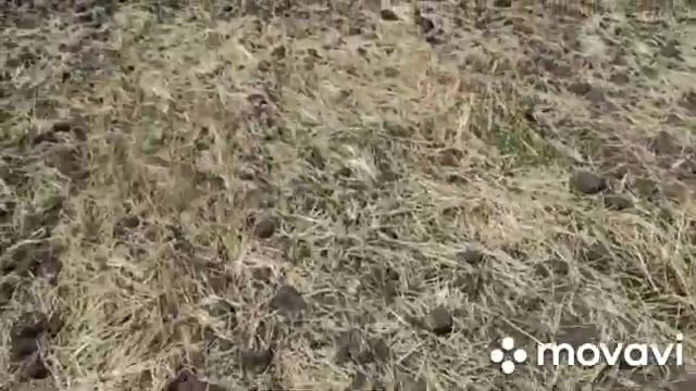 #опрыскивание сельскохозяйственных культур смотреть онлайн