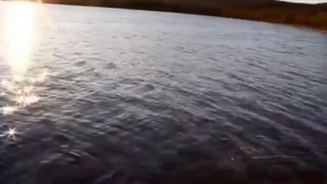 "Дочь" песня на стихи Николая Смирнова,музыка и исполнение: Олег Сапегин смотреть онлайн