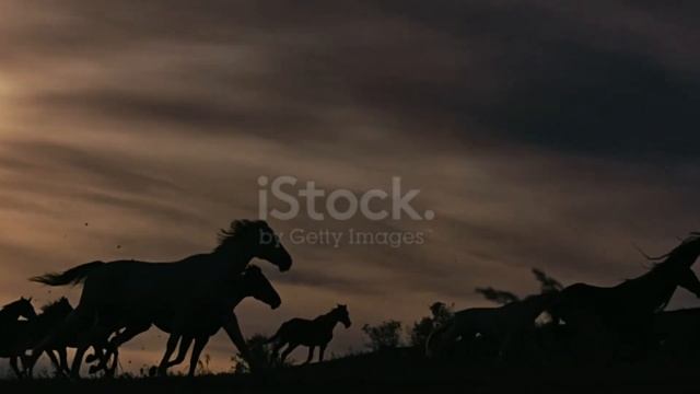 Бред смотреть онлайн