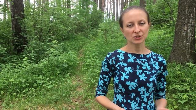 Как стать художником по стенам | Художник Наталья Боброва смотреть онлайн