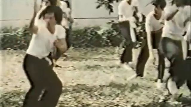 Кулак Орла (боевые искусства, 1980 год) смотреть онлайн