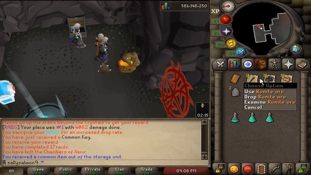 BACK TO BACK RAIDS DROPS & MORE UPGRADES! - HUGE GIVEAWAY - Xeros RSPS Iron Man (#06) смотреть онлайн