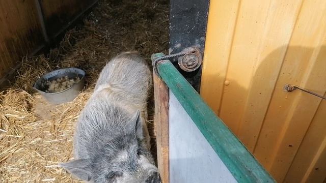 Савков хутор смотреть онлайн