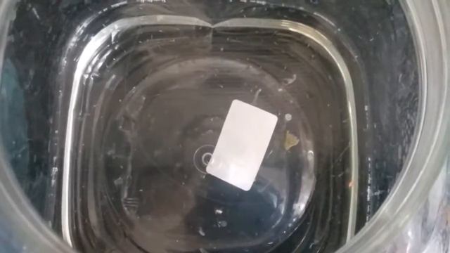 Мальки данио рерио 12-й день . Мальки данио рерио часть 3. смотреть онлайн