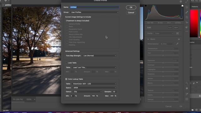 How to convert LUTs into Lightroom PRESETS смотреть онлайн