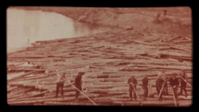 Log riders смотреть онлайн