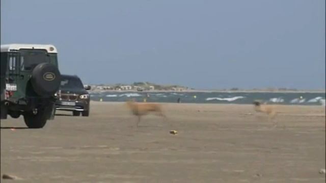 КРЫЛО ПЕРЕДНЕЕ ПРАВОЕ НА БМВ X1E84 ЕКАТЕРИНБУРГ смотреть онлайн