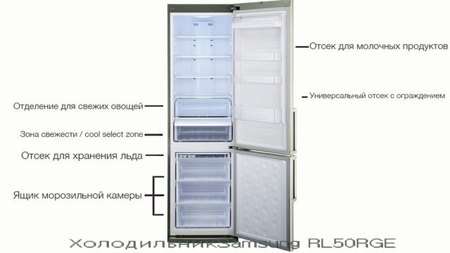 Холодильник SAMSUNG RL50RGEMG1 смотреть онлайн