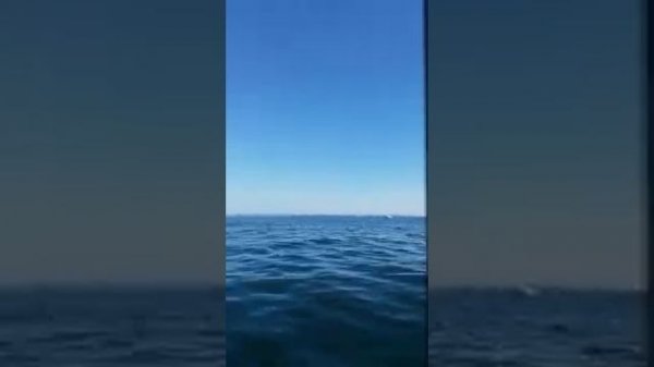 smartliner 21 + suzuki 100hp sea fishing waterford, southern coast ireland