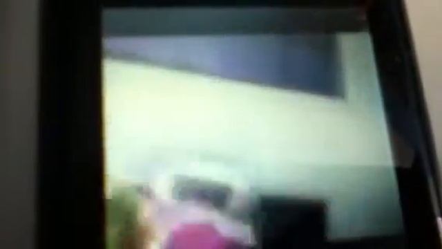 Battle Bears Royale Glitch смотреть онлайн