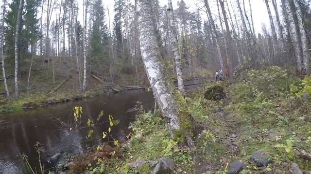 1 VLOG: Сертификация гидов проводников, Туризм в России. School of hiking guides. Tourism in Russia смотреть онлайн