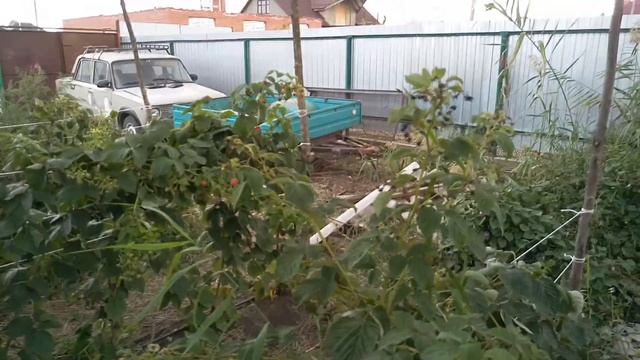 Нужна ли сетка для затенения малины и её себестоимость смотреть онлайн