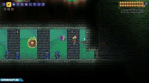 Террария Лунатик (2023) | Террария Культист Лунатик | Как призвать Лунатика в Террарии 1.4.4.x