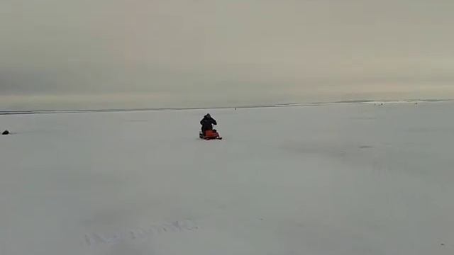 Бешеный Тушканчик 2014 смотреть онлайн