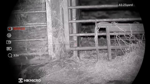 My First Alpex LRF 4K Experience Plus A Red Letter Night On The Rats. смотреть онлайн