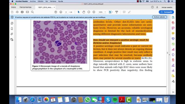 Vídeo artículo - Actualización del diagnostico de ehrlichiosis y anaplasmosis - Mascolab смотреть онлайн