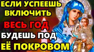 УСПЕЙ ВКЛЮЧИ МОЛИТВУ БОГОРОДИЦЕ ЦЕЛЫЙ ГОД БУДЕШЬ ПОД ЗАЩИТОЙ! Молитва Чудеса Богородицы! Православие