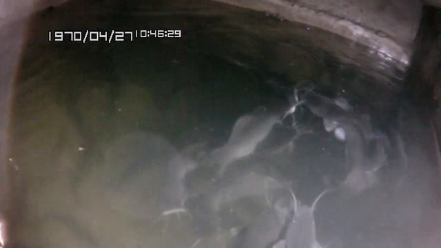 Рост сома за 26 дней смотреть онлайн