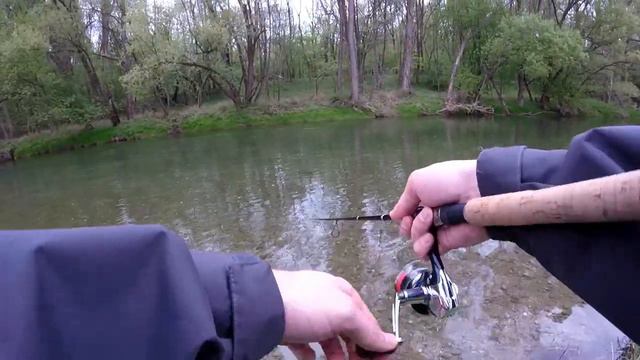 Spinning for Trout and other Fish in River Traisen in AUSTRIA смотреть онлайн