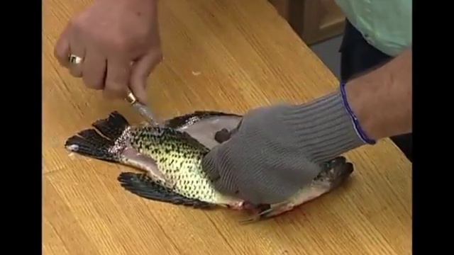 How-To Fillet Fish with Rapala Knives смотреть онлайн