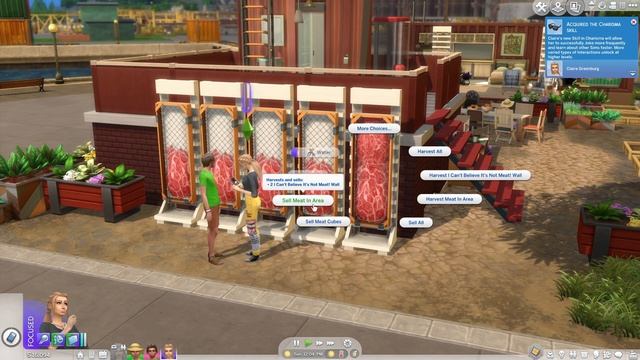 How to Get the Meat Wall in The Sims 4: Eco Lifestyle ?? #TheSims4 смотреть онлайн