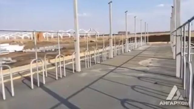 Строительство семейной животноводческой фермы на 50 голов Курган Варгаушевский район 1 смотреть онлайн
