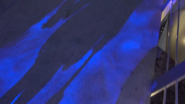 Зоологический мост. Харьков. смотреть онлайн