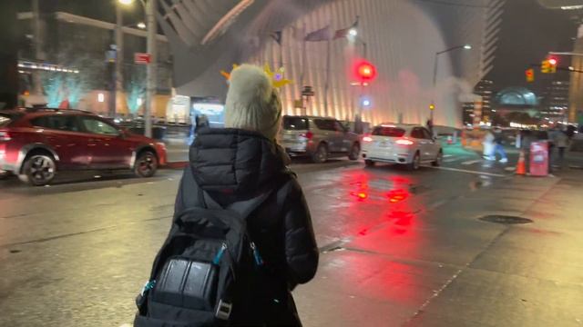 Встречаем Новый год в Нью-Йорке | Как мы отпраздновали наш третий Новый год в США смотреть онлайн