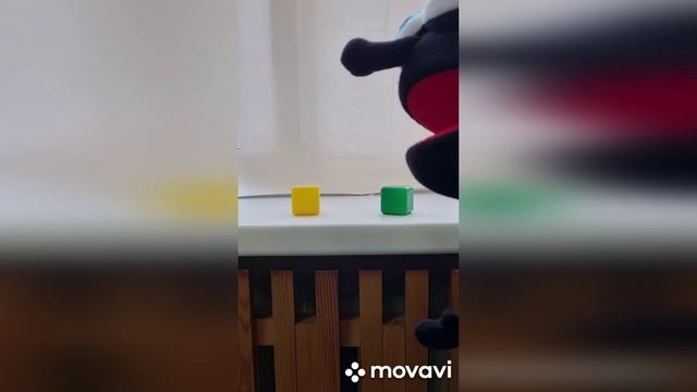 проект малыш учим цвета.mp4 смотреть онлайн