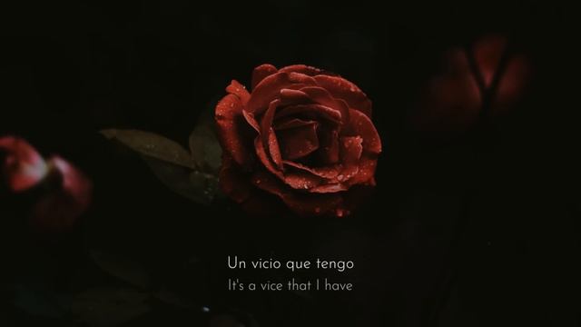 Carla Morrison - Disfruto (Letra En Español & English Translation)