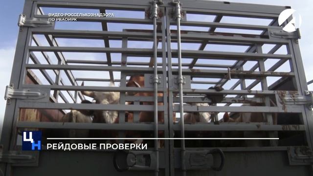 Рейдовые проверки смотреть онлайн