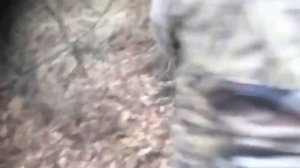 Охота на кабана с ножом