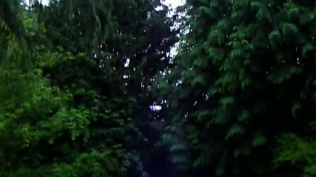 Den Geografiske Have i Kolding - Botanic Garden in Denmark смотреть онлайн