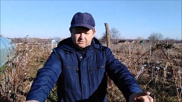 Ягодный бизнес с 200 рублей смотреть онлайн