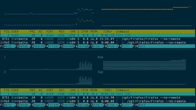 Htop, upcoming Braille-powered Graph type Meter смотреть онлайн