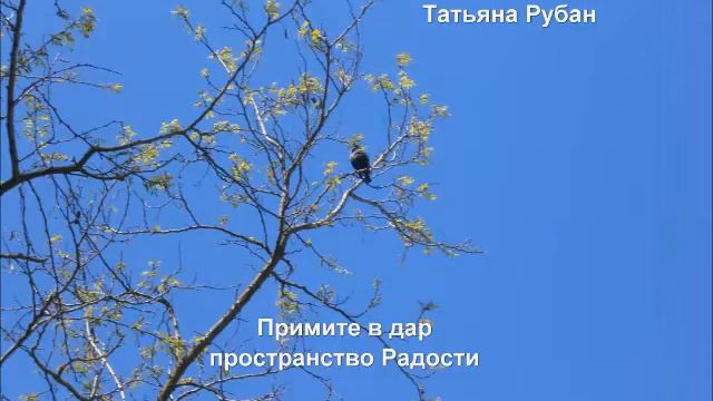 Примите в дар пространство Радости смотреть онлайн