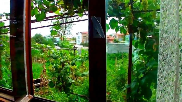 Копия видео "ГОСТЕВОЙ ДОМ СНЕЖАНА. г. ОБЗОР. БОЛГАРИЯ." смотреть онлайн