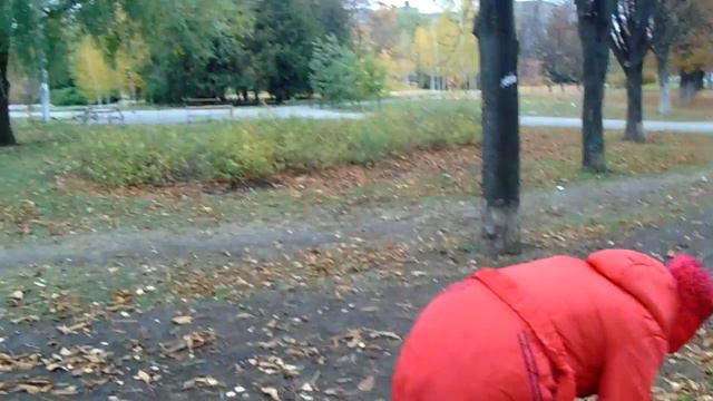 осень заканчивается  взаимная подписка