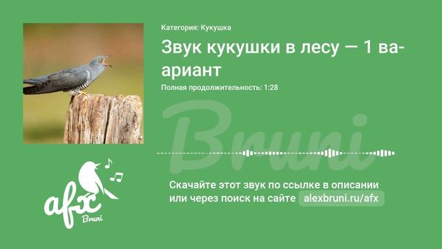 Звук: Звук кукушки в лесу — 1 вариант