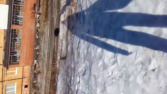 Пацан к успеху шёл смотреть онлайн