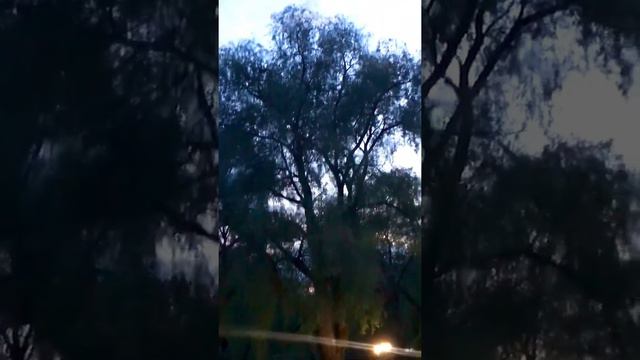 Моя красивая, очень красивая река Десна!!! Город Брянск!!! смотреть онлайн